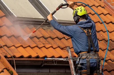 Démoussage et hydrofuge de toiture à Lusseray